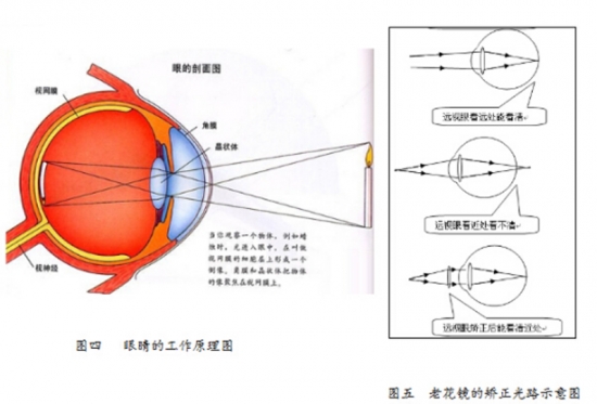 美麗島眼鏡：老花鏡不可隨意亂帶，需要在專業(yè)驗光后科學(xué)配制